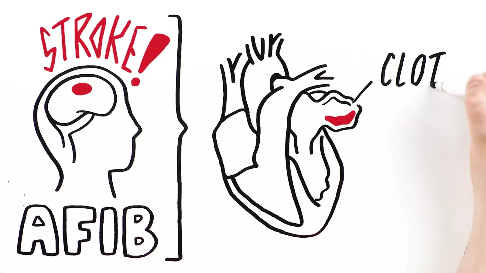 Life Sciences & Medical video illustration